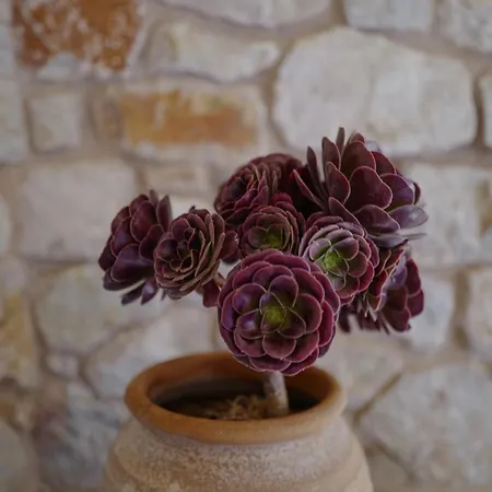 Hotel Phisis Nature Retreat Donoussa